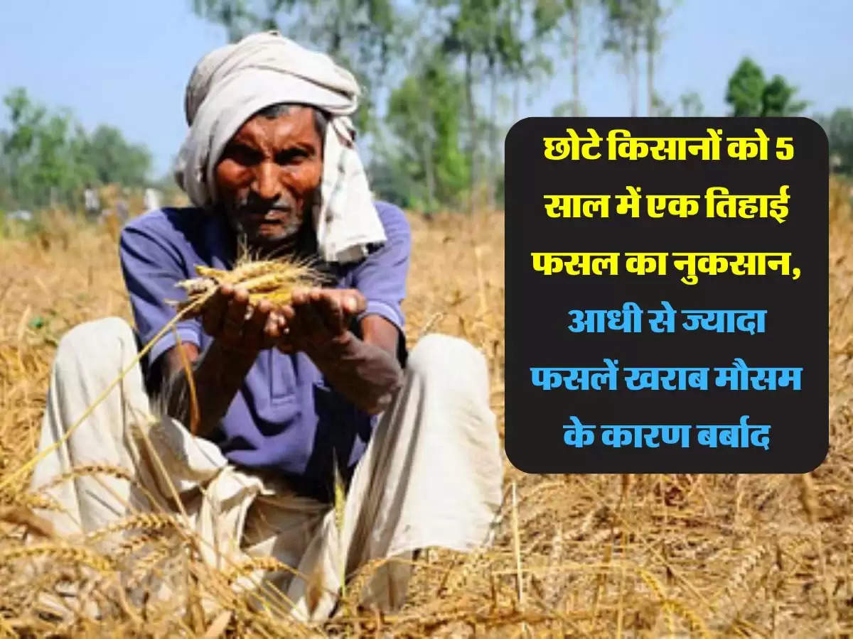 Farmers : छोटे किसानों को 5 साल में एक तिहाई फसल का नुकसान, आधी से ज्यादा फसलें खराब मौसम के कारण बर्बाद