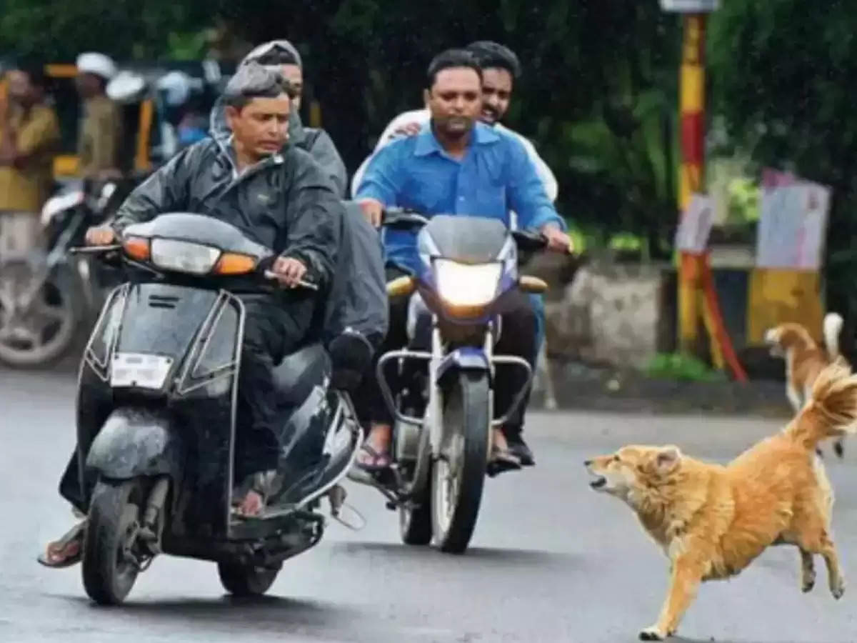 लीजिये! बाइक वालों को अब नहीं भौकेंगे कुत्ते, मिल गए इस परेशानी से निपटने के जुगाड़