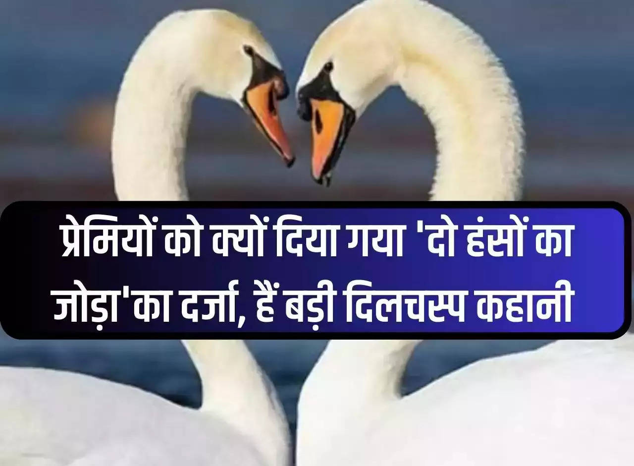 GK: Why the lovers were given the status of 'a pair of two swans', it is a very interesting story