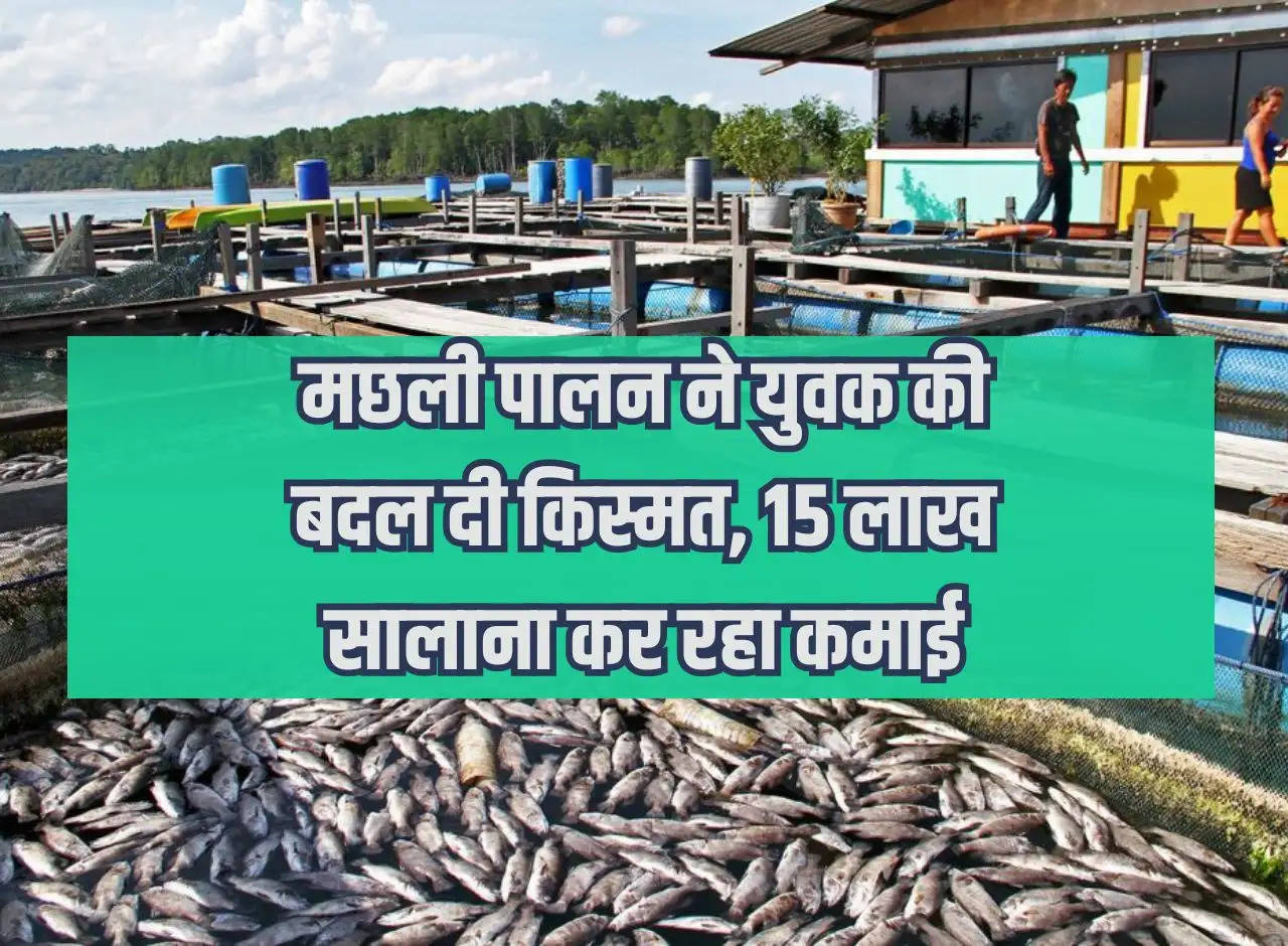 Fish farming changed the fate of a young man, he is earning Rs 15 lakh annually