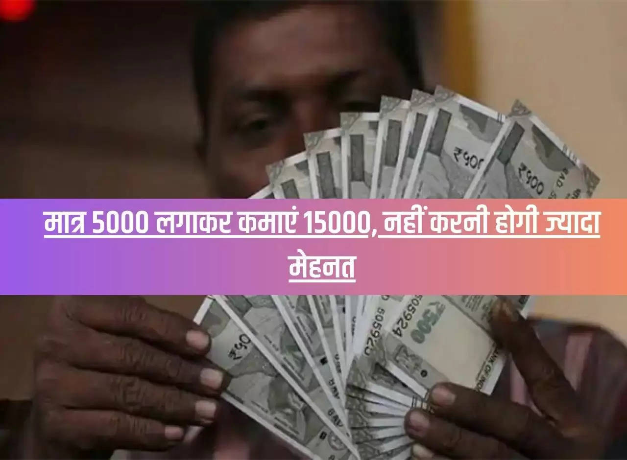 Earn Rs 15000 by investing just Rs 5000, you won't have to work hard