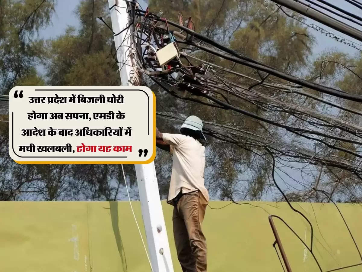 उत्तर प्रदेश में बिजली चोरी होगा अब सपना, एमडी के आदेश के बाद अधिकारियों में मची खलबली, होगा यह काम 