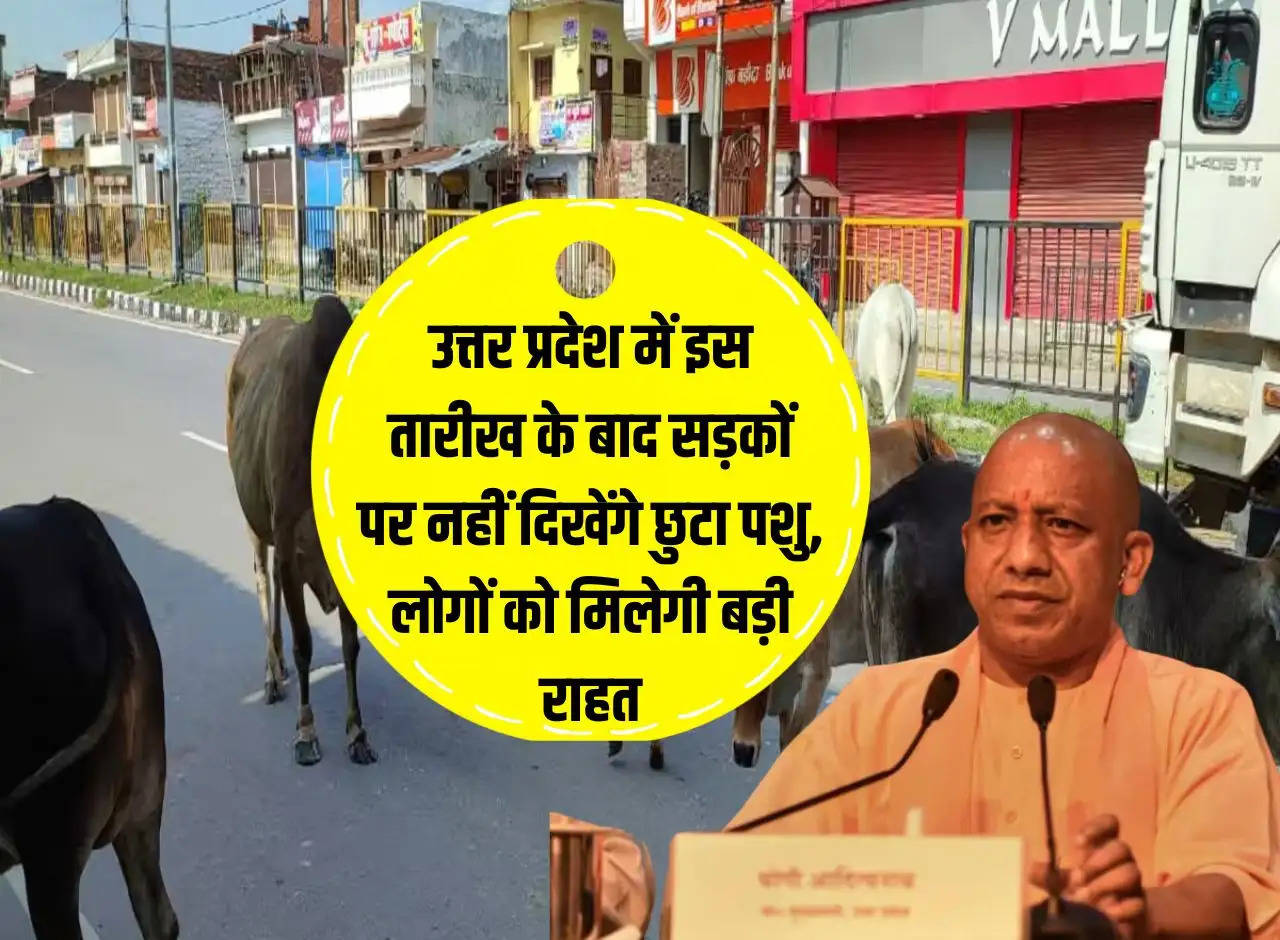 After this date in Uttar Pradesh, stray animals will not be seen on the roads, people will get big relief.