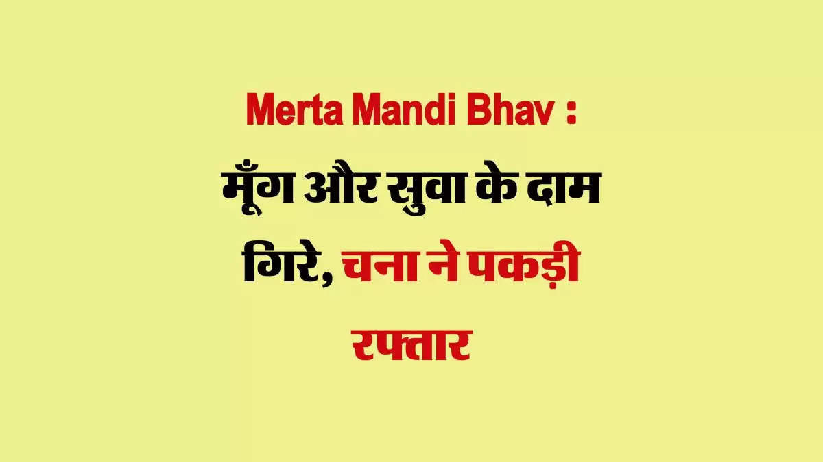 Merta Mandi Bhav 28 August 2024 : मूँग और सुवा के दाम गिरे, चना ने पकड़ी रफ्तार