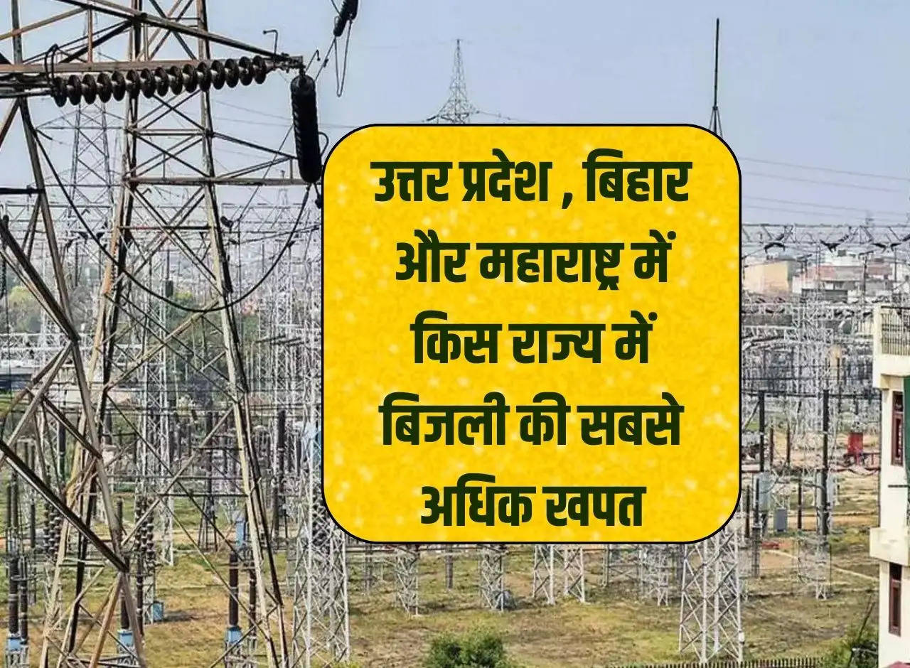 Which state has the highest consumption of electricity in Uttar Pradesh, Bihar and Maharashtra?