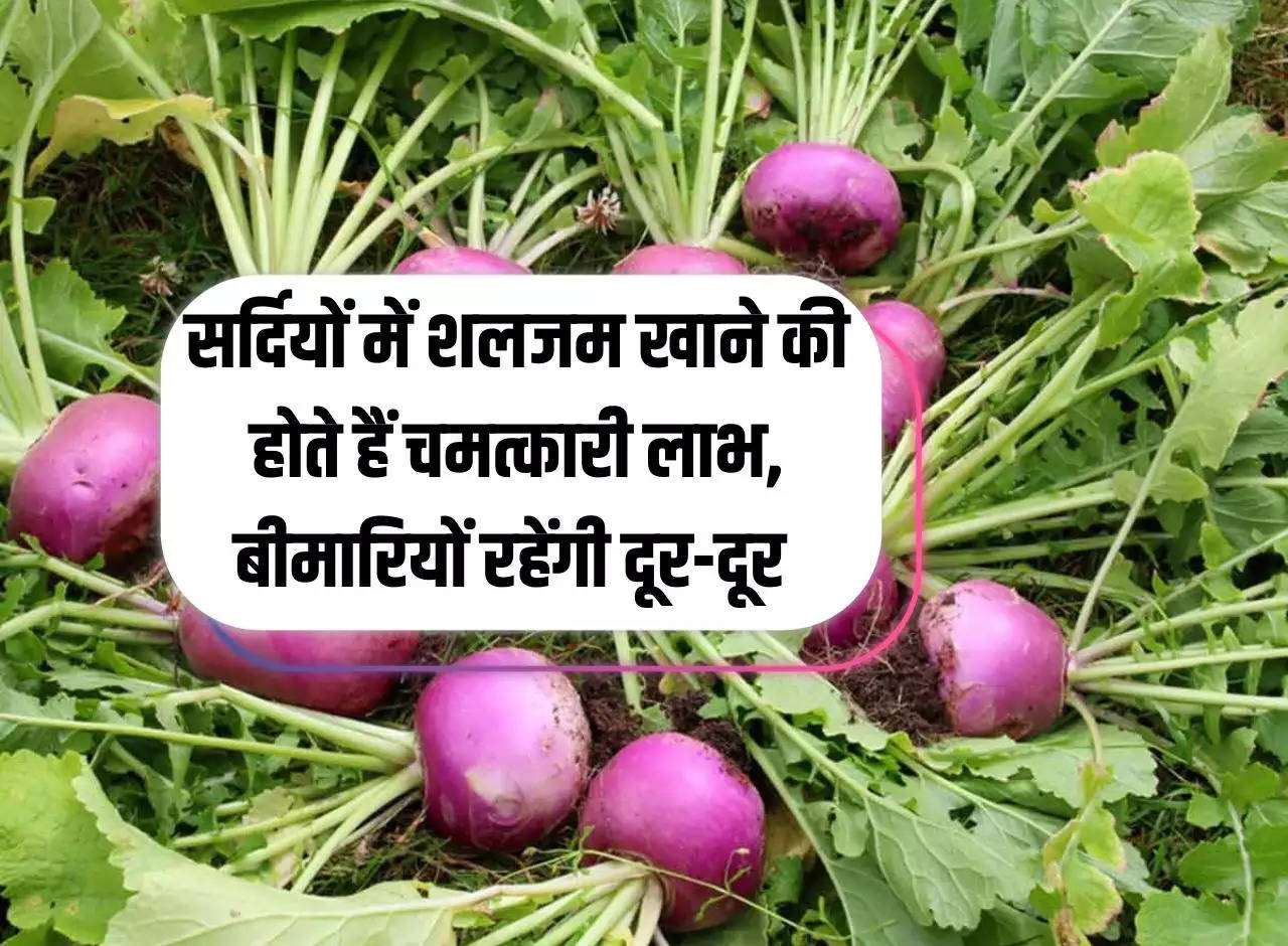 Health tips: There are miraculous benefits of eating turnip in winter, diseases will stay away