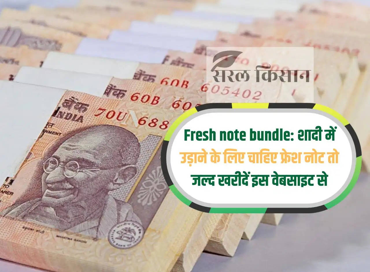 Fresh note bundle: If you want fresh notes to blow in the wedding, then buy them soon from this website.