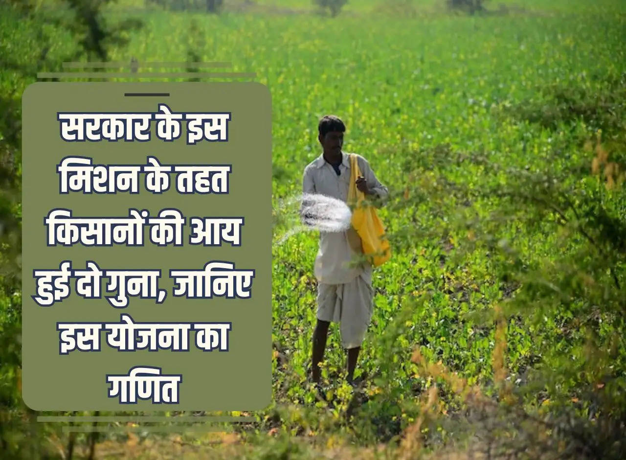 Under this mission of the government, farmers' income doubled, know the mathematics of this scheme