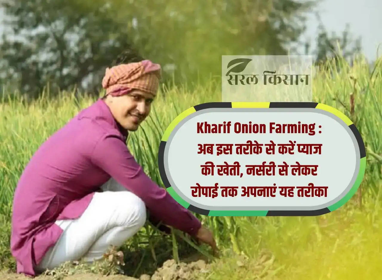 Kharif Onion Farming: Now cultivate onion in this way, adopt this method from nursery to transplanting.