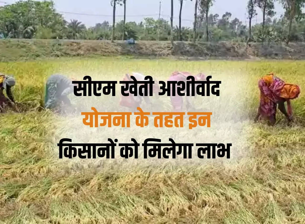 These farmers will get benefits under CM Kheti Ashirwad Yojana