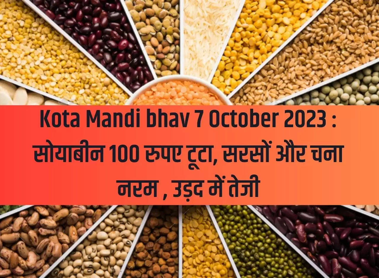 Kota Mandi bhav 7 October 2023: Soybean falls by Rs 100, mustard and gram soft, rise in urad.