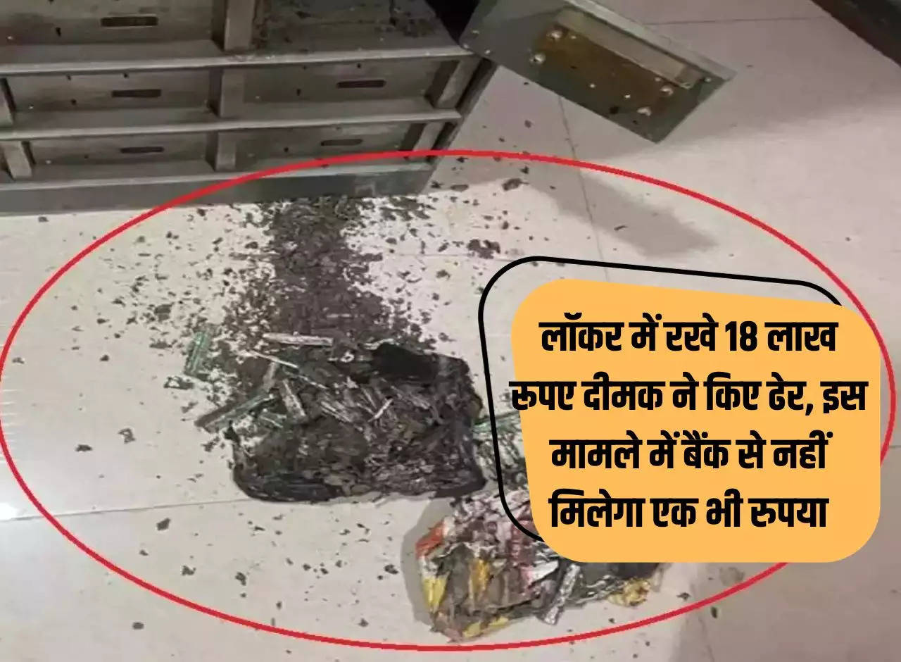 Bank Locker Rules: 18 lakh rupees kept in the locker were destroyed by termites, in this case not a single rupee will be received from the bank.