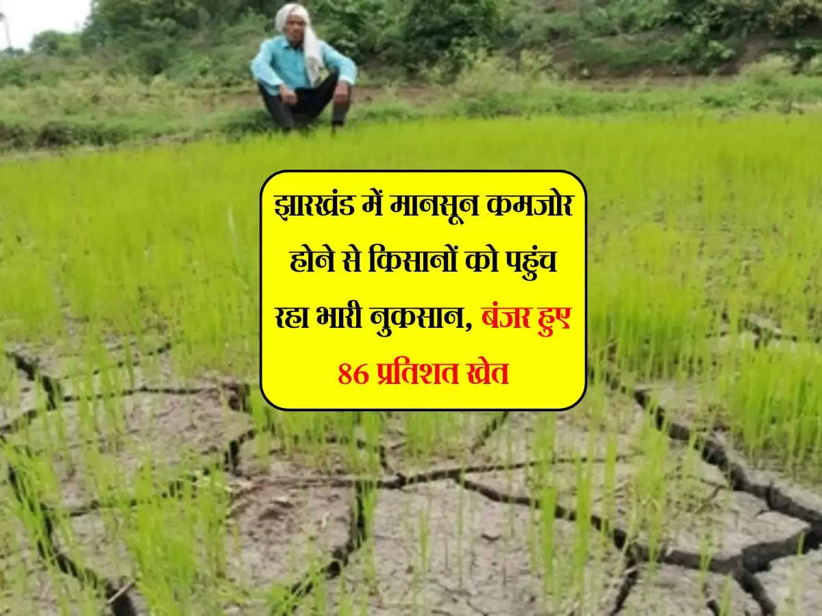 झारखंड में मानसून कमजोर होने से किसानों को पहुंच रहा भारी नुकसान, बंजर हुए 86 प्रतिशत खेत