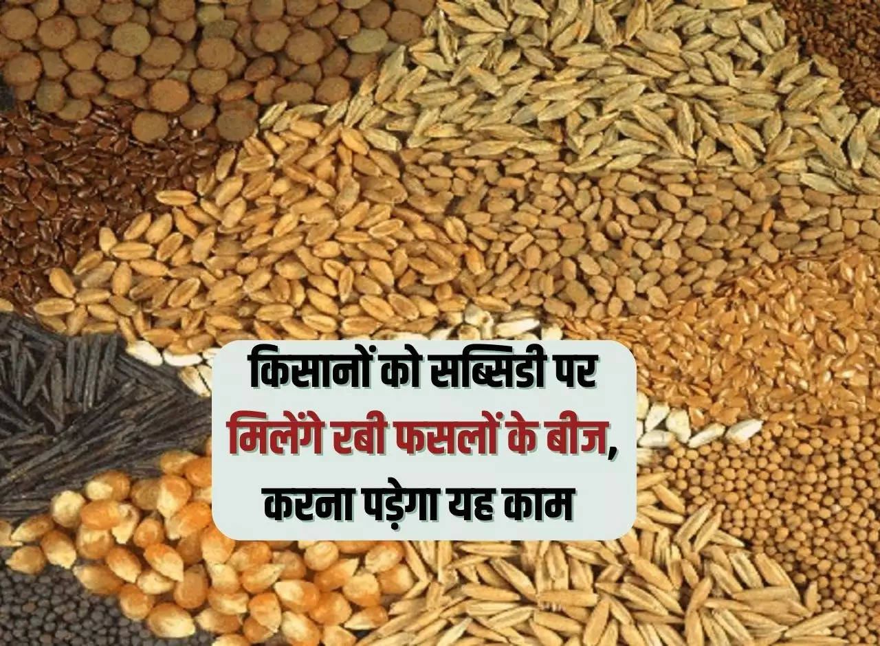 Sarkari Yojana: Farmers will get seeds of Rabi crops on subsidy, will have to do this work