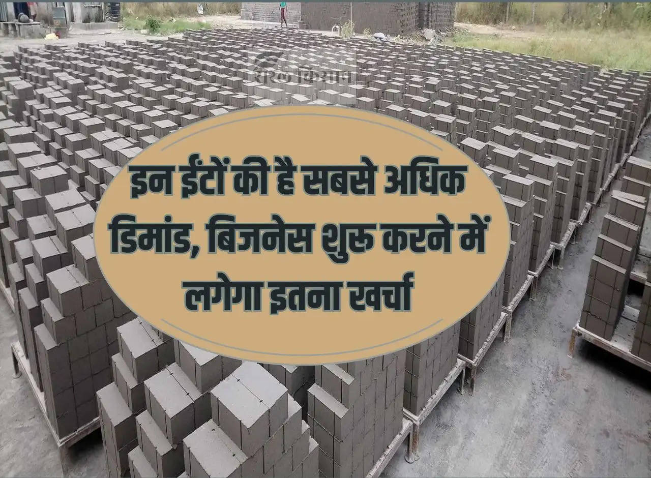 Fly Ash Business Cost: These bricks are in highest demand, it will cost so much to start a business