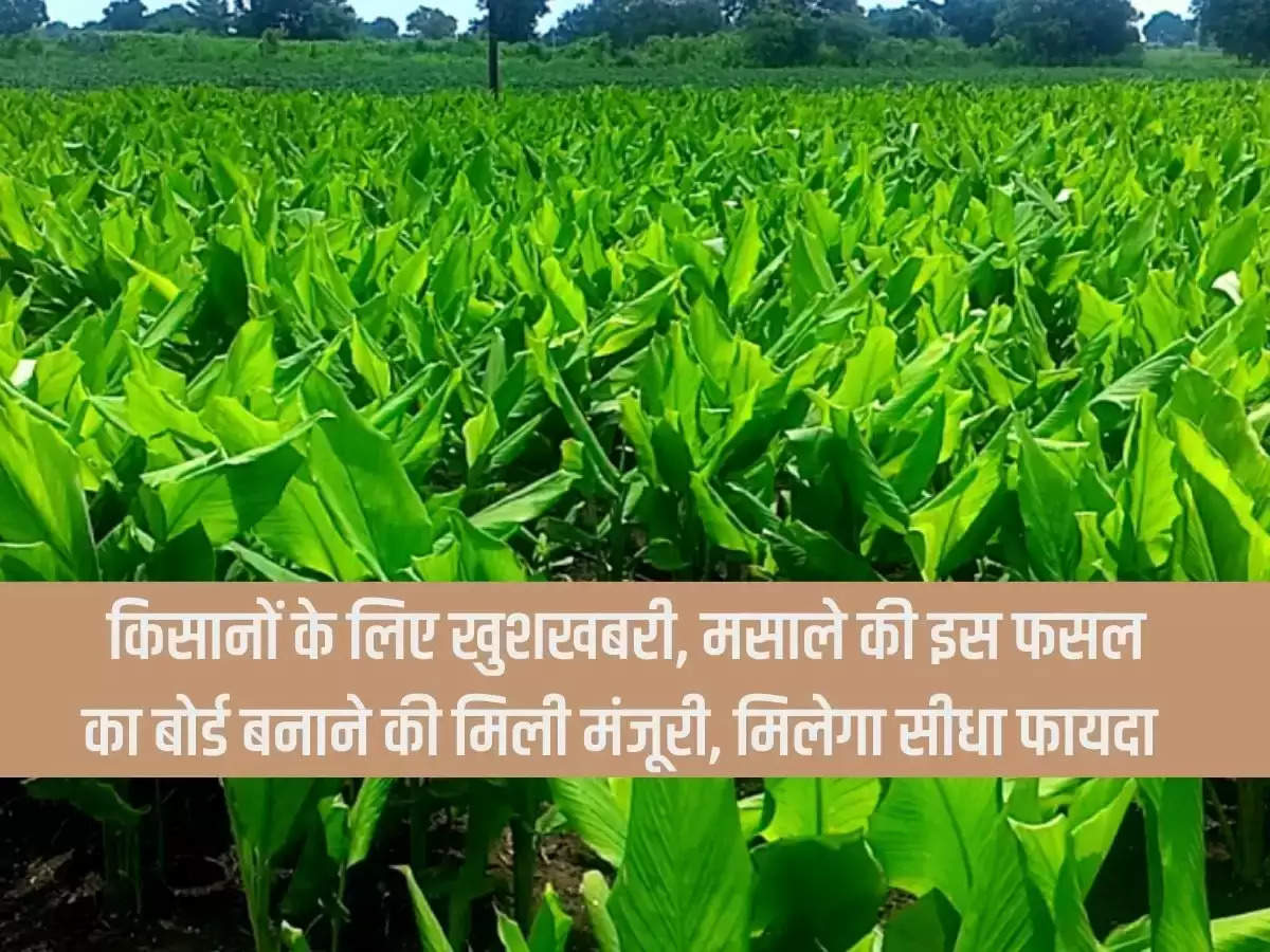 Good news for farmers, approval given to make board for this spice crop, will get direct benefit