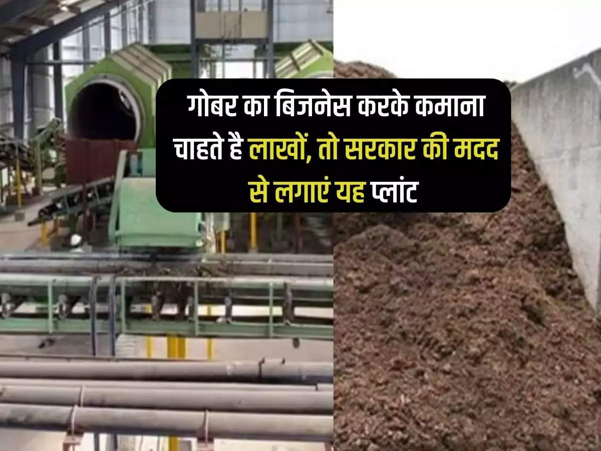 If you want to earn lakhs by doing cow dung business, then set up this plant with the help of the government.