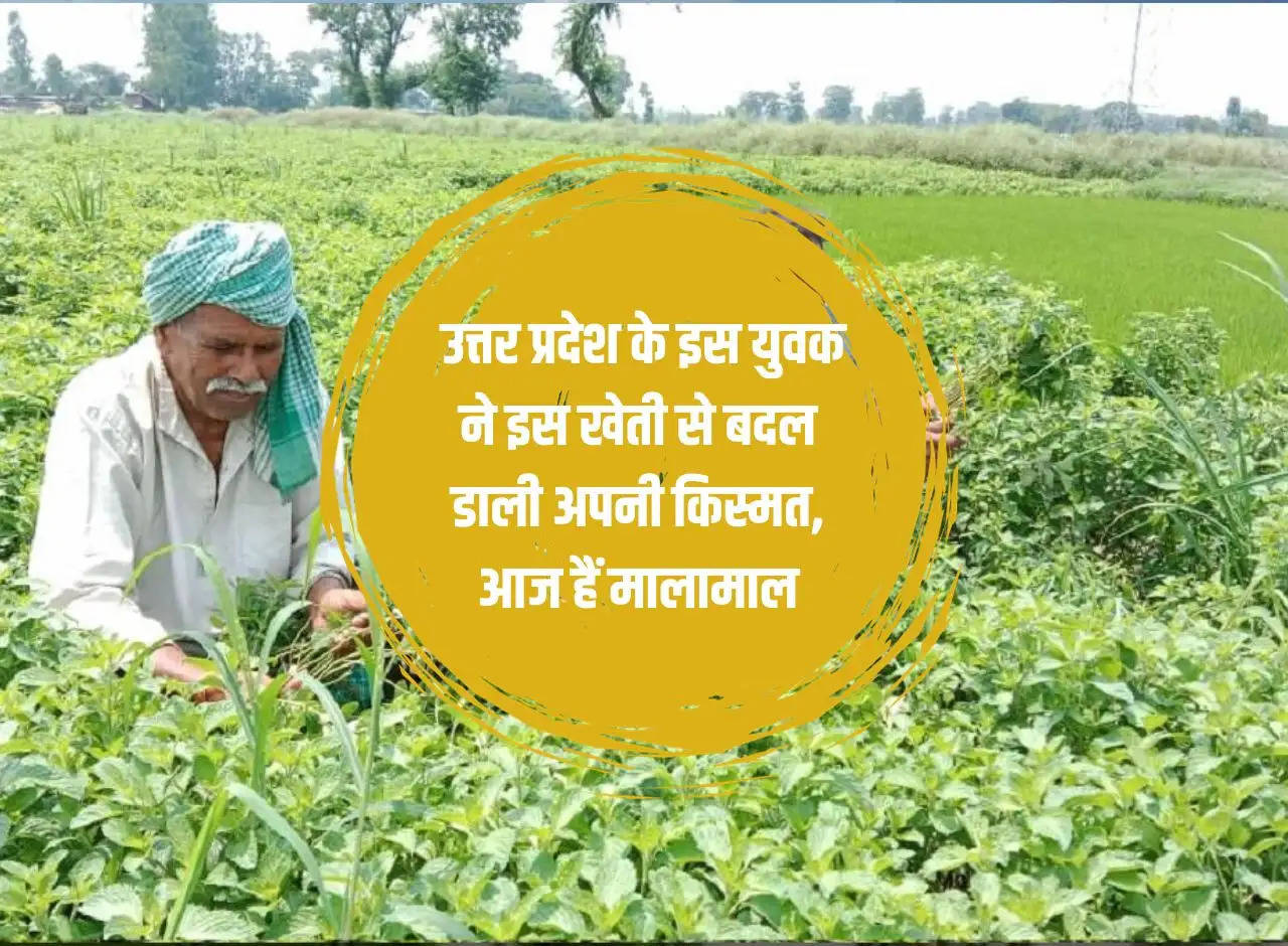UP News: This young man from Uttar Pradesh changed his fortunes through farming, is rich today