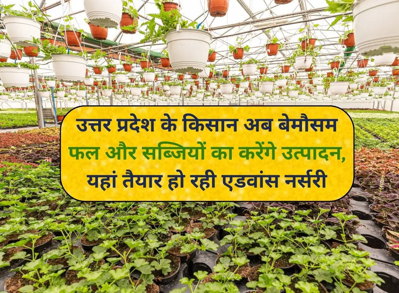 Farmers of Uttar Pradesh will now produce off-season fruits and vegetables, advanced nursery is being prepared here.