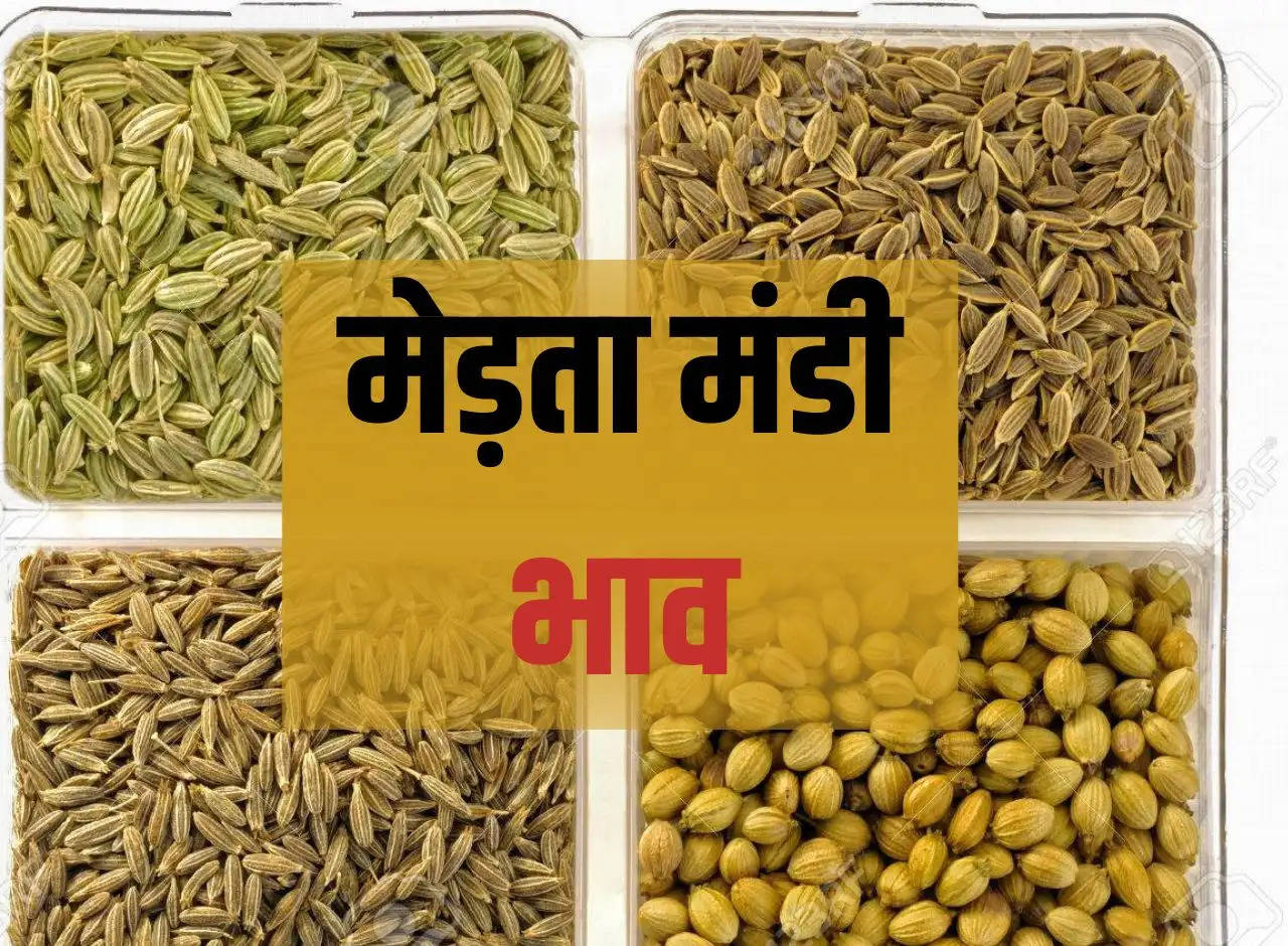 Merta Mandi bhav 22 December 2023: Prices of cumin, fennel, guar, guar, taramira, cotton, isabgol and other crops.