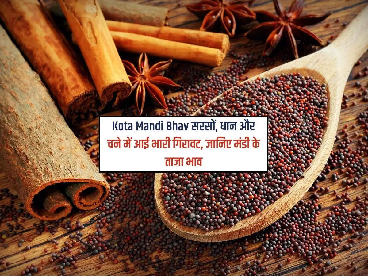 Kota Mandi Bhav 26 February 2024 : सरसों, धान और चने में आई भारी गिरावट, जानिए मंडी के ताजा भाव