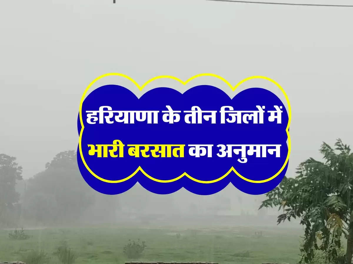 हरियाणा के तीन जिलों में भारी बरसात का अनुमान, प्रदेश में मानसून फिर से हुआ सक्रिय