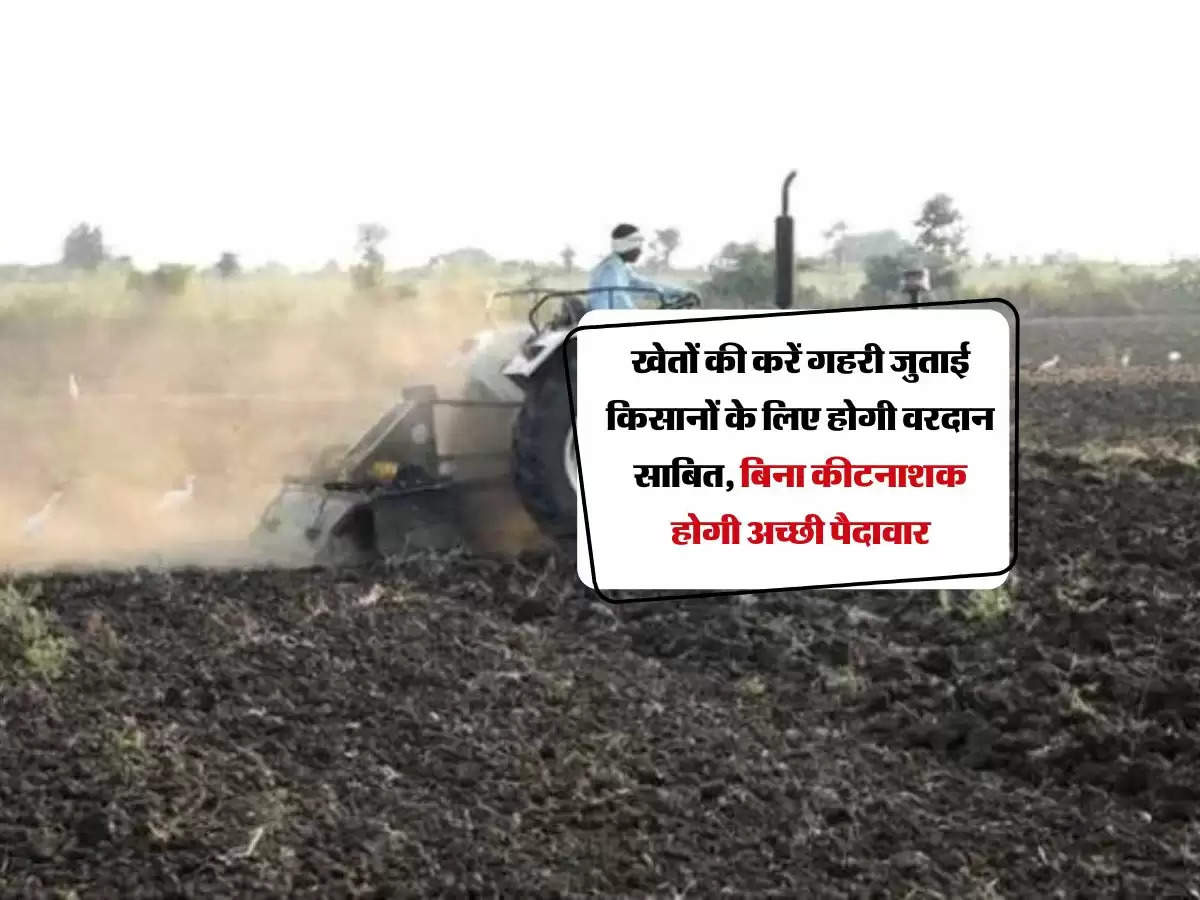 Deep Ploughing : खेतों की करें गहरी जुताई किसानों के लिए होगी वरदान साबित, बिना कीटनाशक होगी अच्छी पैदावार