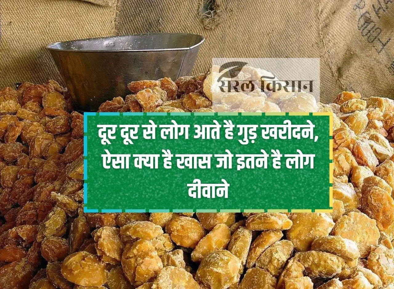 People come from far and wide to buy jaggery, what is so special that people are crazy about it?