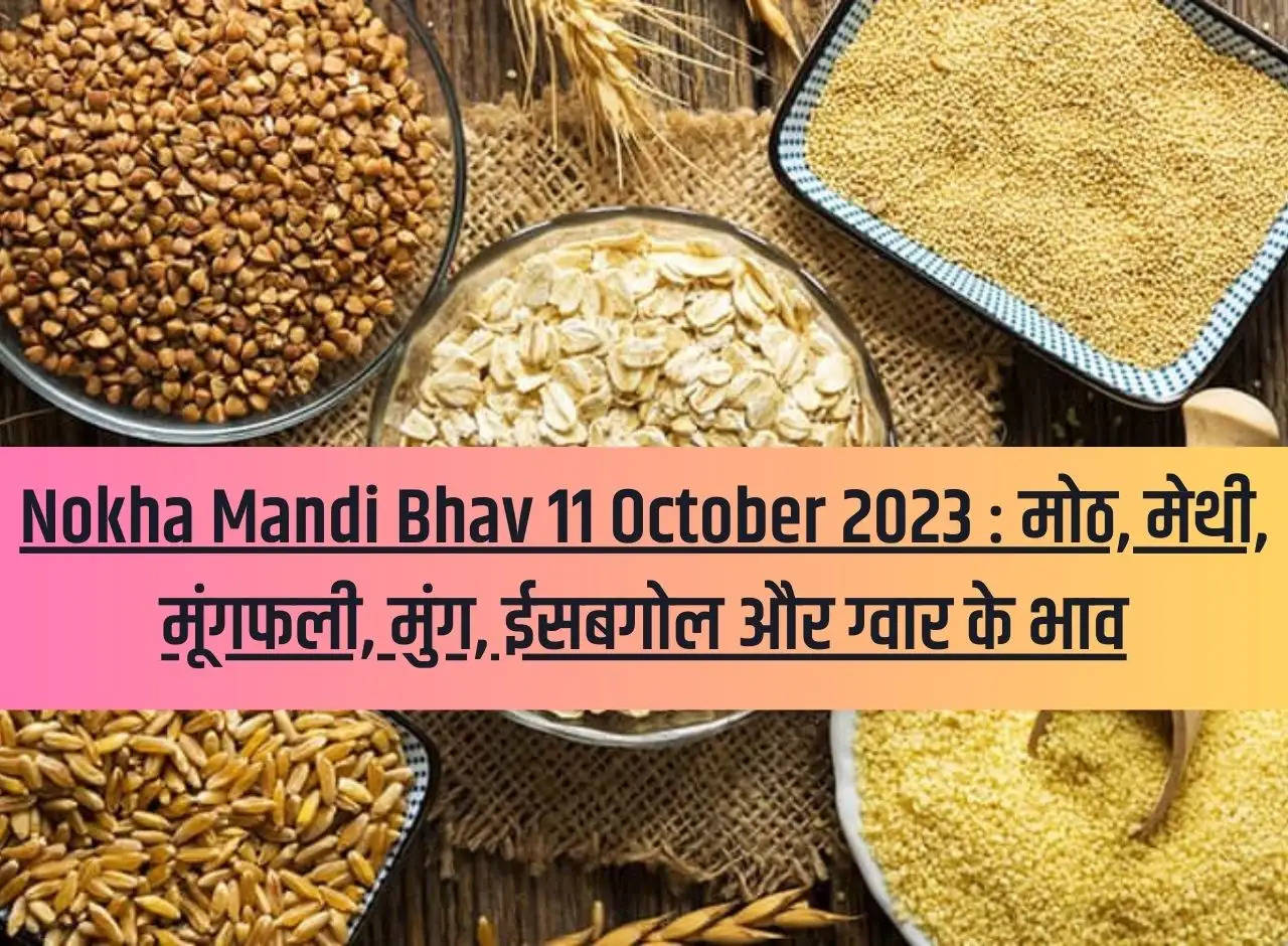 Nokha Mandi Bhav 11 October 2023: Prices of moth, fenugreek, peanut, mung, isabgol and guar.