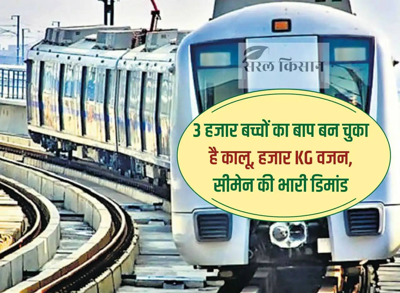 Bihar Metro: 31.39 km. There will be Bihar Metro line, it will take so many years to complete the work