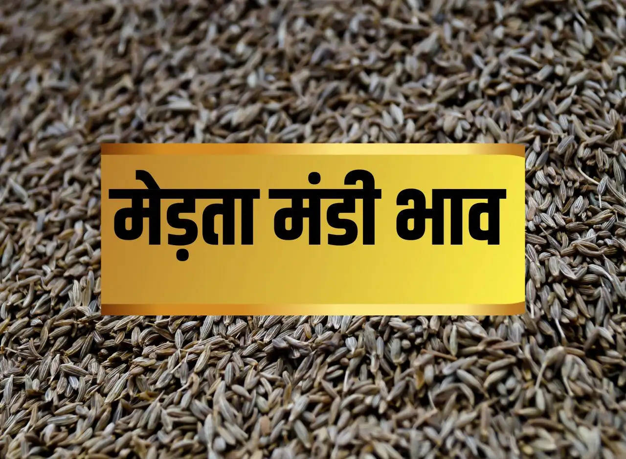 Merta Mandi Price 22 December 2023: Chamki Moong, Saunf, Cumin, Chana, Isabgol, Taramira