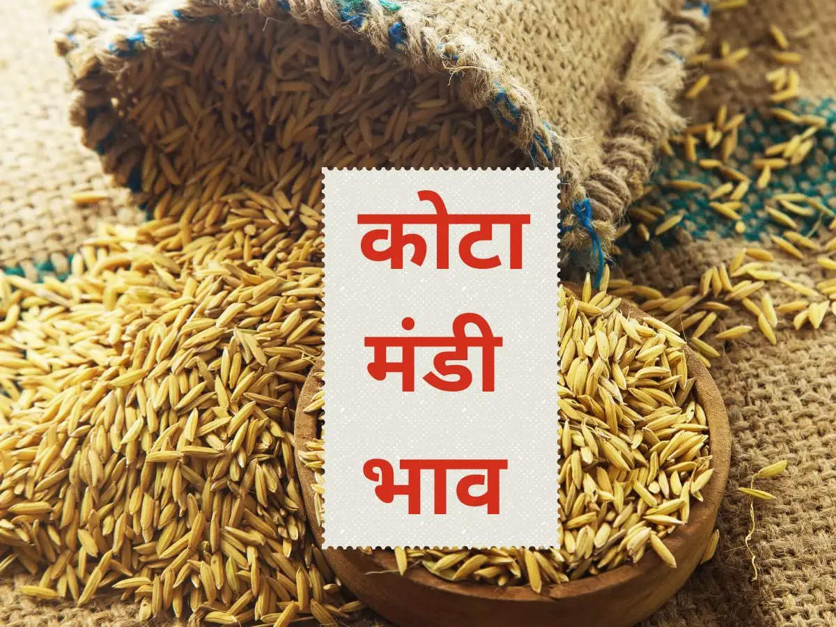 Kota Mandi Price 28 January 2024: Rise in prices of paddy and gram, fall in prices of mustard and soybean.