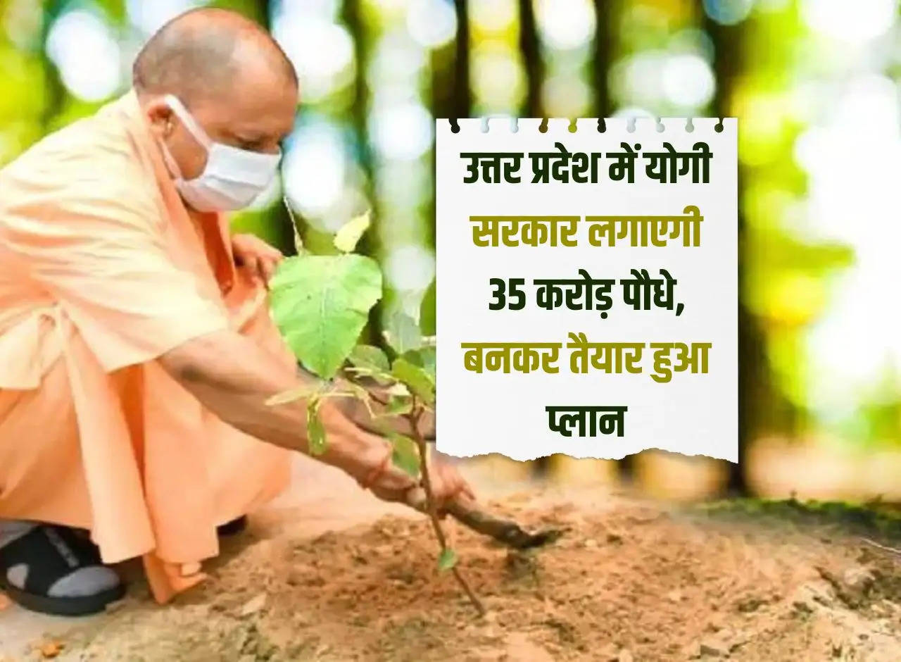 Yogi government will plant 35 crore saplings in Uttar Pradesh, plan ready