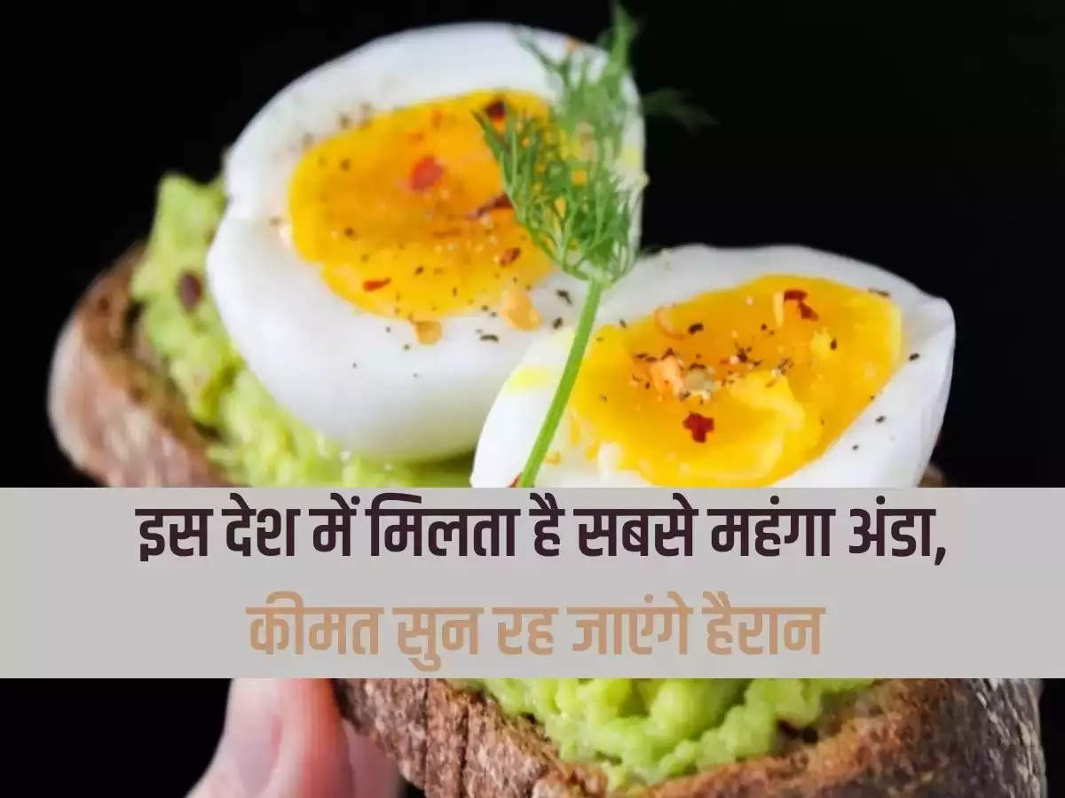 The most expensive egg is found in this country, you will be surprised to hear the price