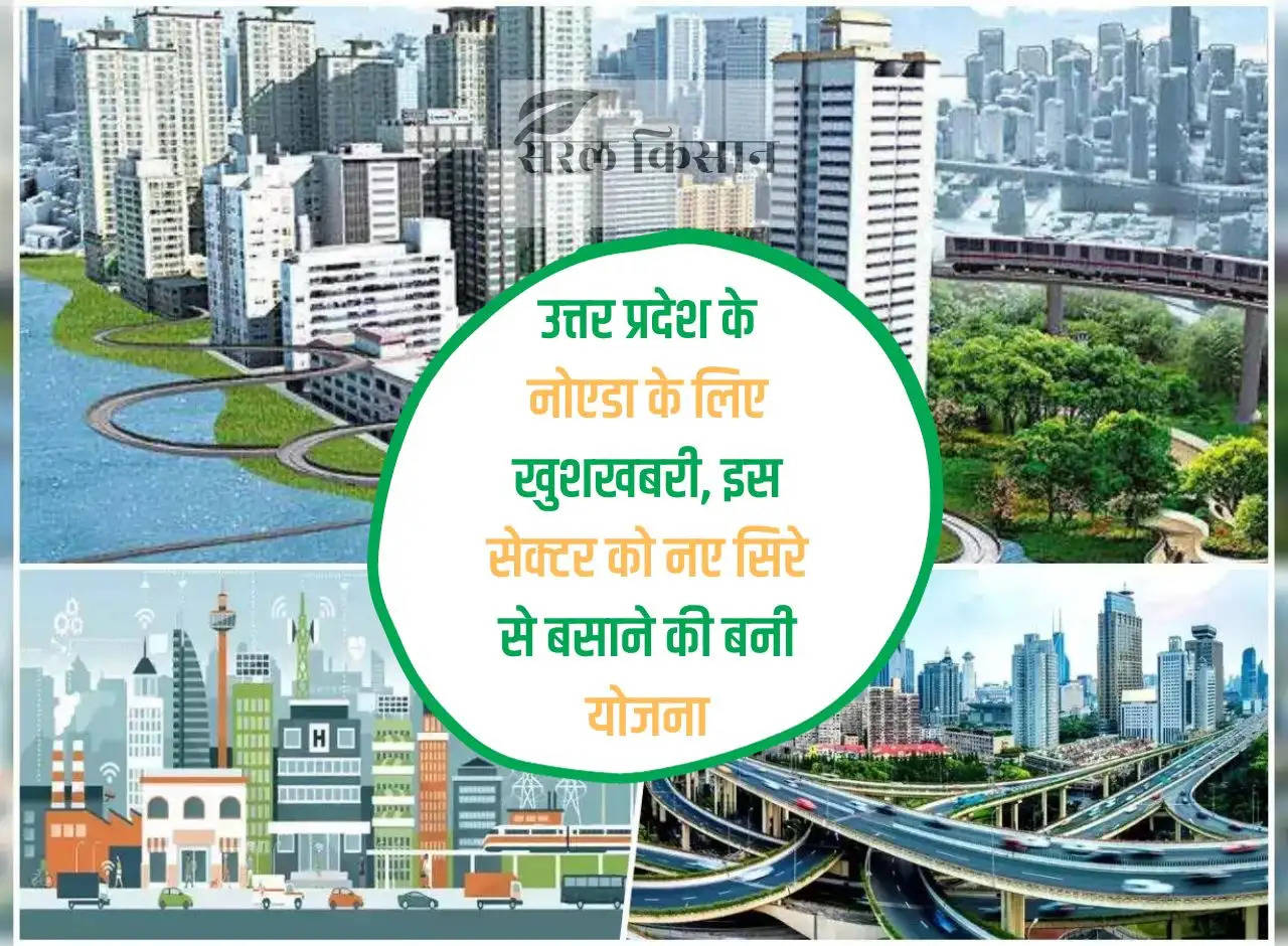 Good news for Noida, Uttar Pradesh, plan made to rehabilitate this sector