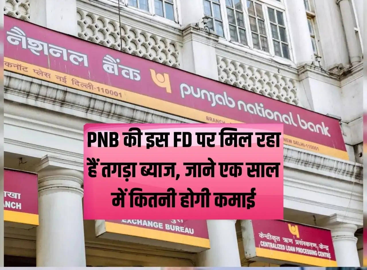 This FD of PNB is getting huge interest, know how much will be earned in one year