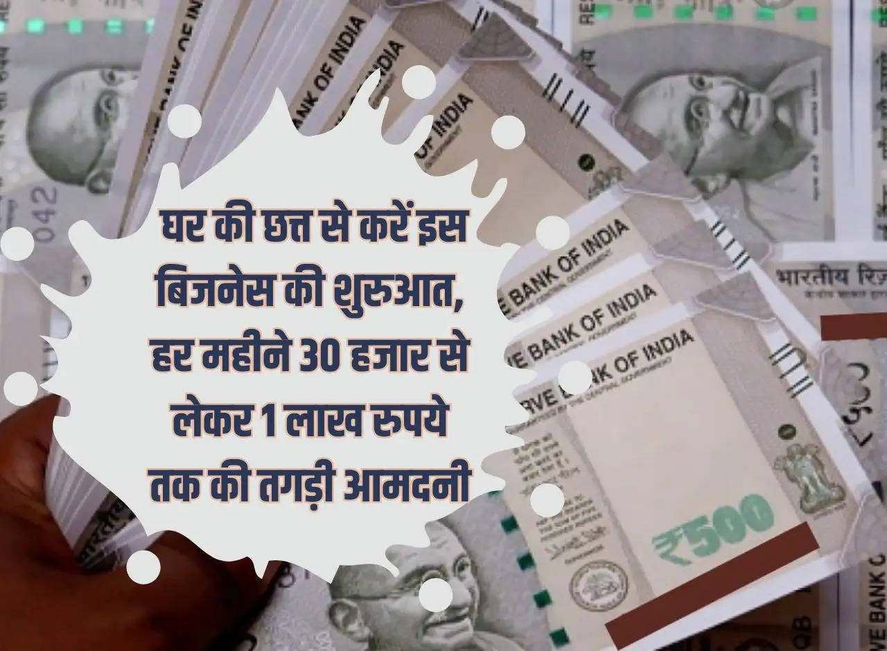 Business Idea: Start this business from the roof of your house, earn huge income ranging from Rs 30 thousand to Rs 1 lakh every month.