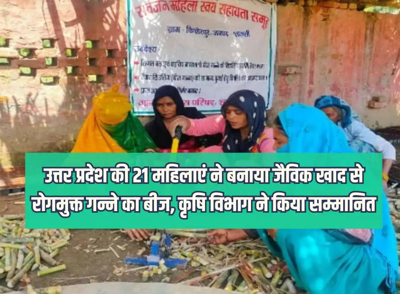 21 women of Uttar Pradesh made disease free sugarcane seeds from organic fertilizer, Agriculture Department honored them