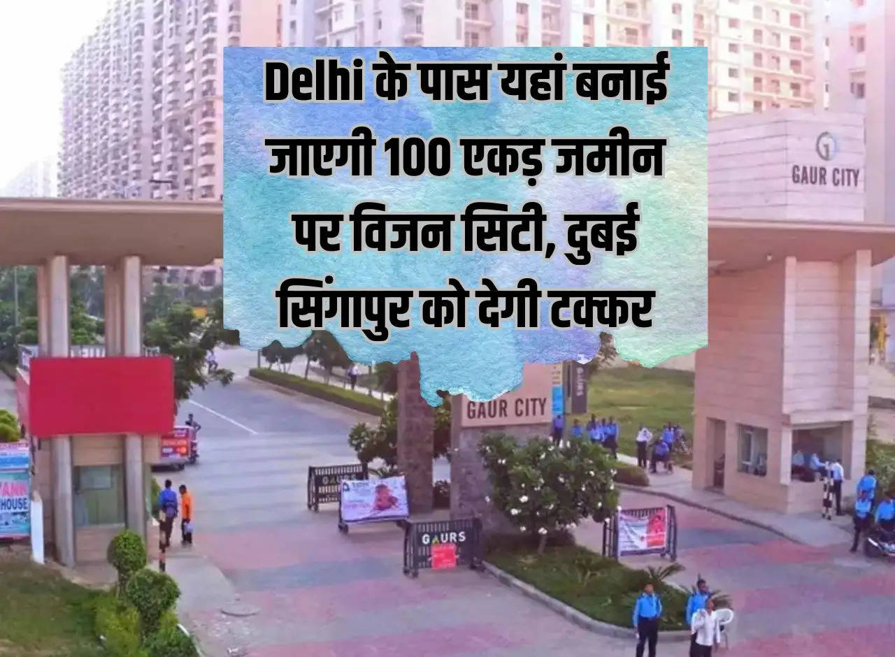 Vision City will be built on 100 acres of land near Delhi, Dubai will compete with Singapore.