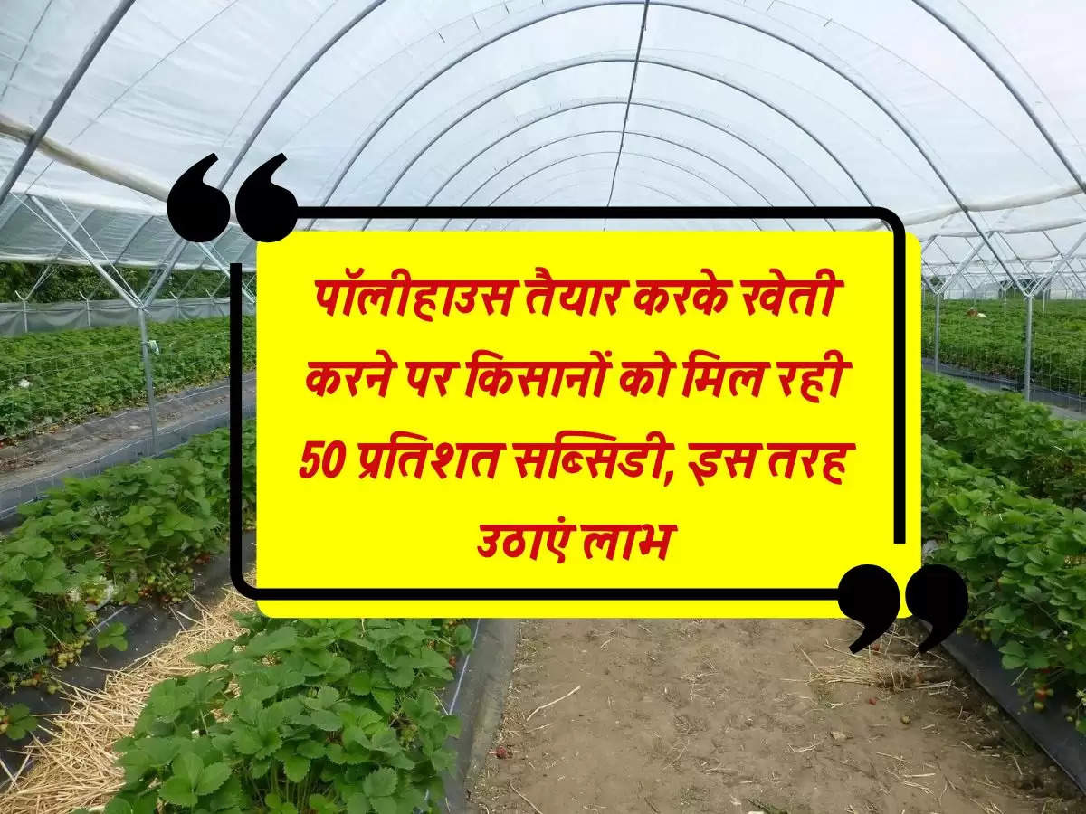 पॉलीहाउस तैयार करके खेती करने पर किसानों को मिल रही 50 प्रतिशत सब्सिडी, इस तरह उठाएं लाभ