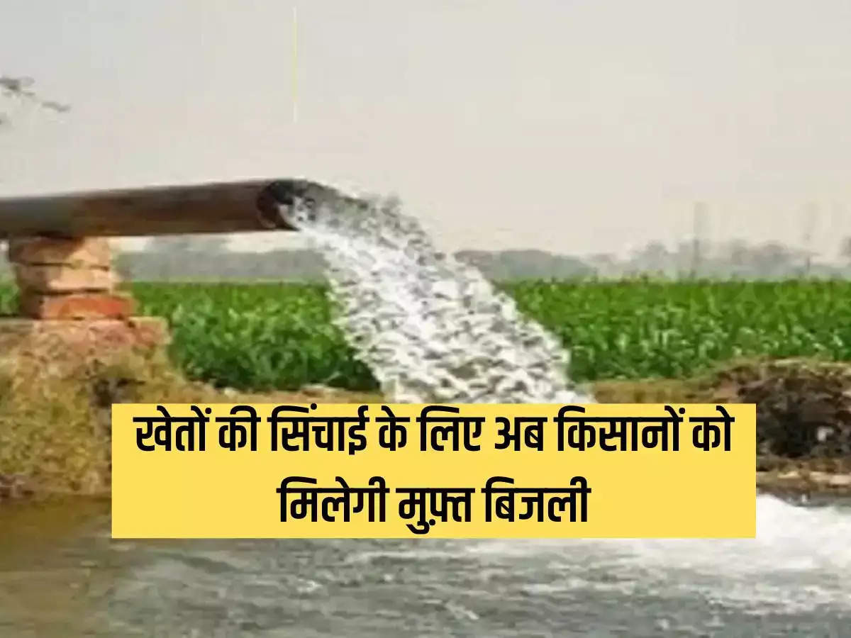 Now farmers will get free electricity for irrigation of fields, know how to apply