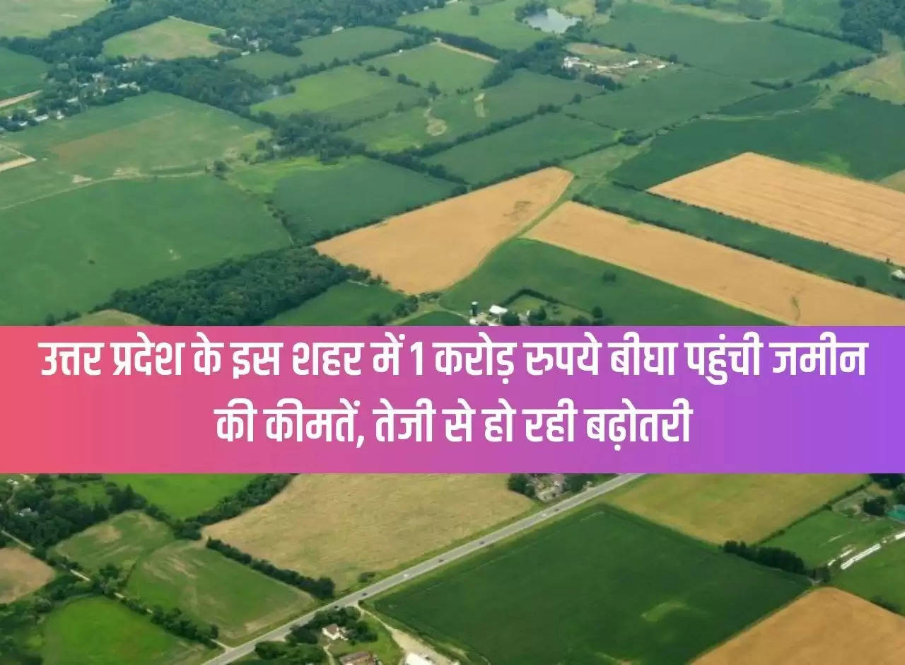 Land prices reach Rs 1 crore per bigha in this city of Uttar Pradesh, increasing rapidly