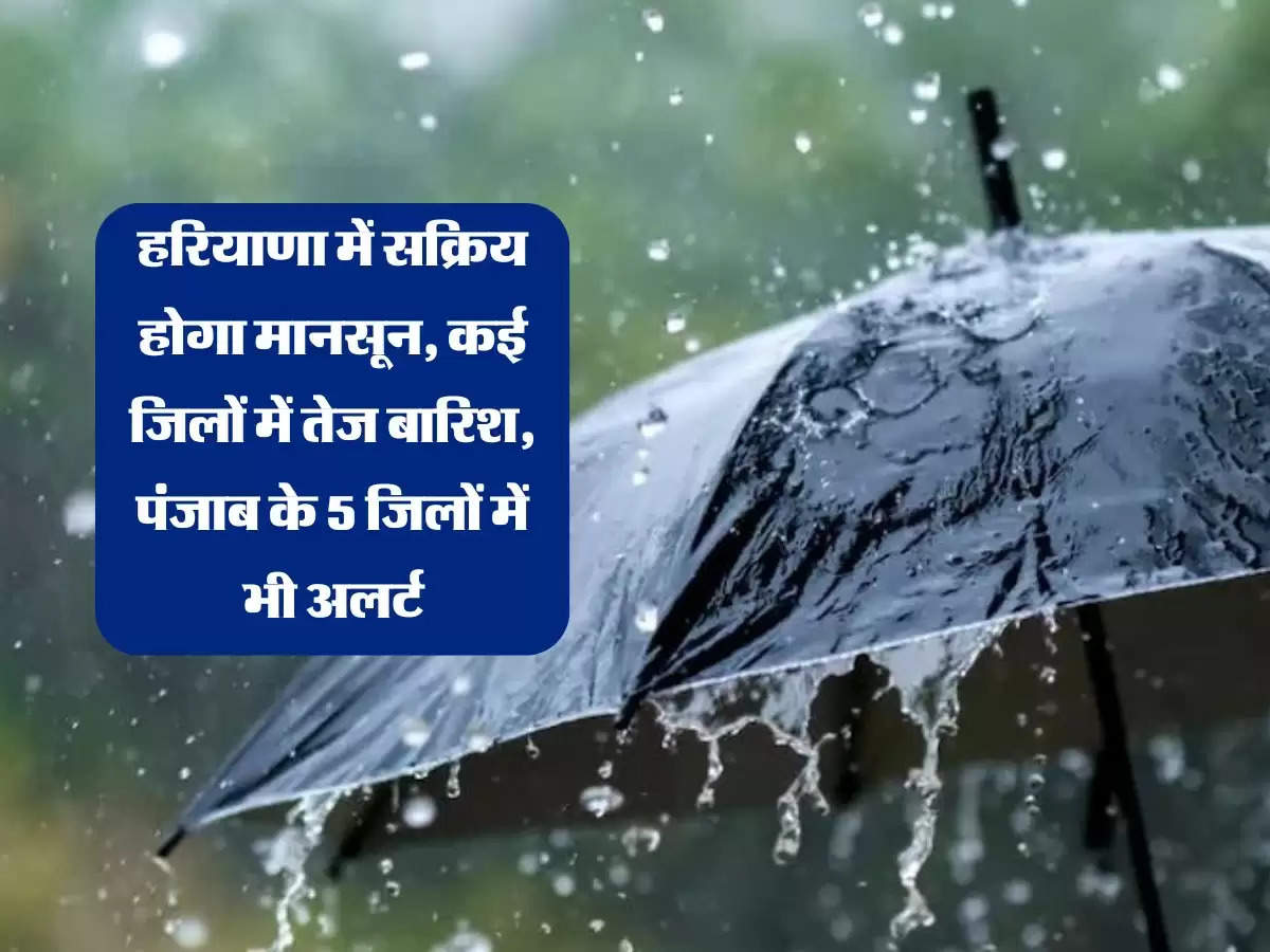 हरियाणा में सक्रिय होगा मानसून, कई जिलों में तेज बारिश, पंजाब के 5 जिलों में भी अलर्ट