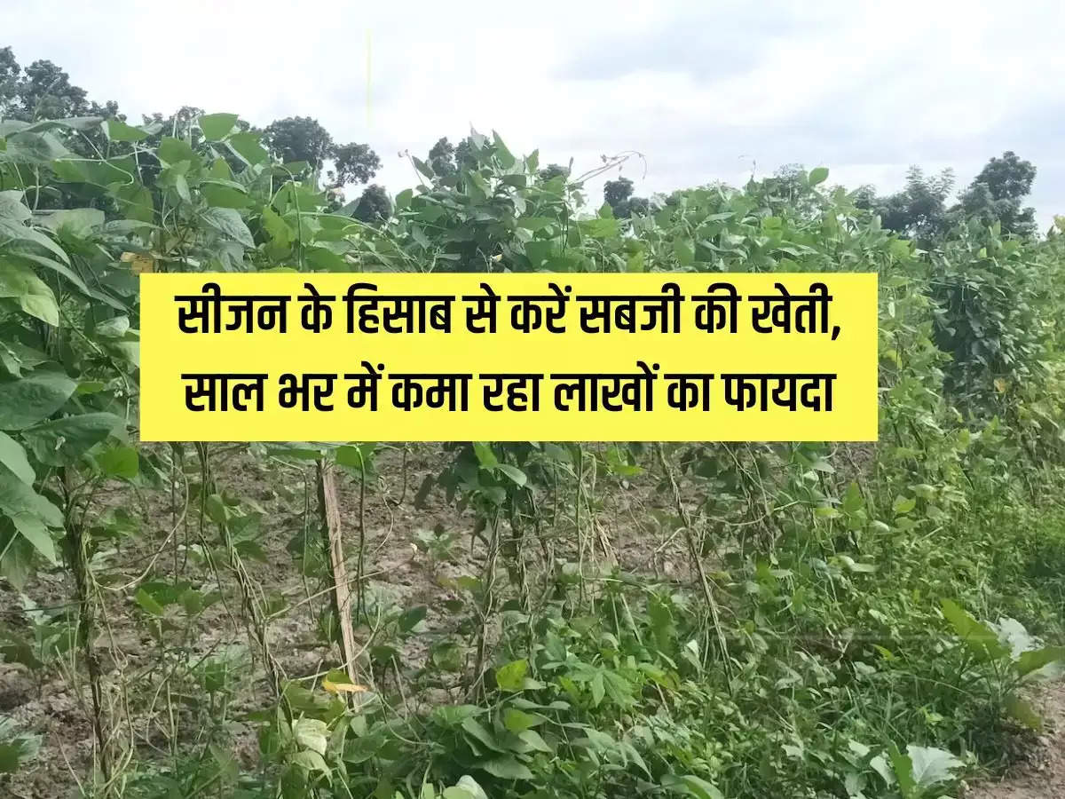 Do vegetable cultivation according to the season, earning profit of lakhs in a year.