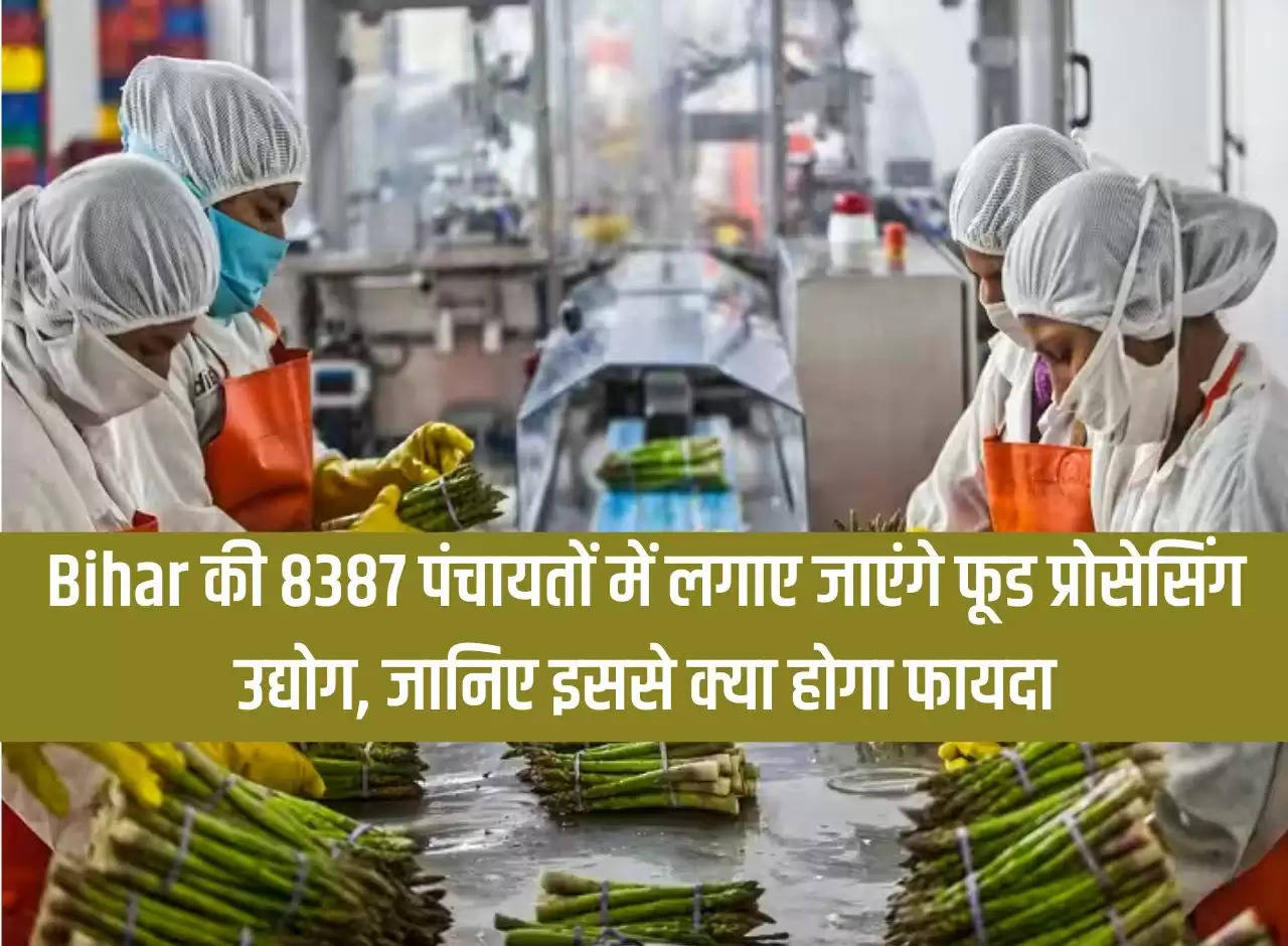 Food processing industries will be set up in 8387 panchayats of Bihar, know what will be the benefit from it.