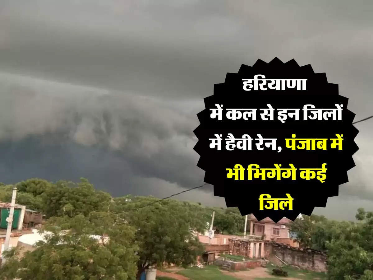 हरियाणा में कल से इन जिलों में हैवी रेन, पंजाब में भी भिगेंगे कई जिले, धान में मिलेगी राहत