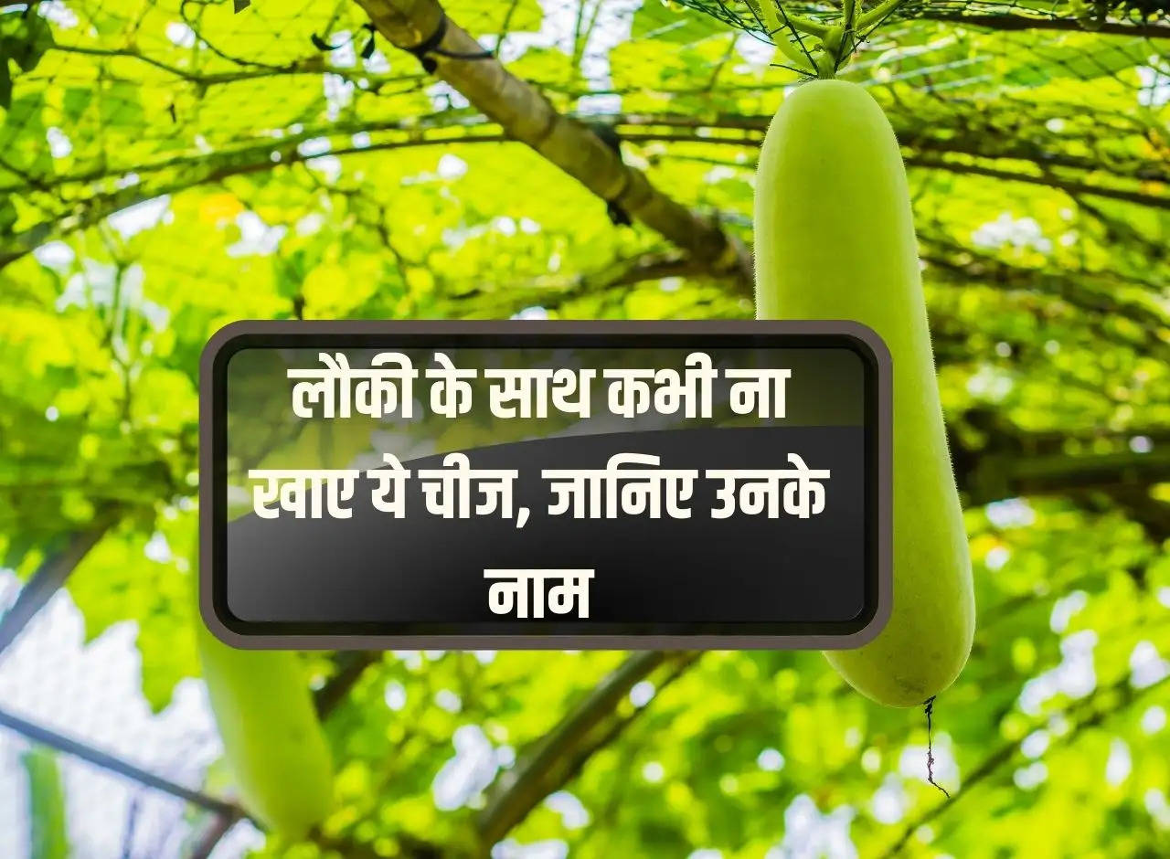 Healthy tips: Never eat these things with bottle gourd, know their names