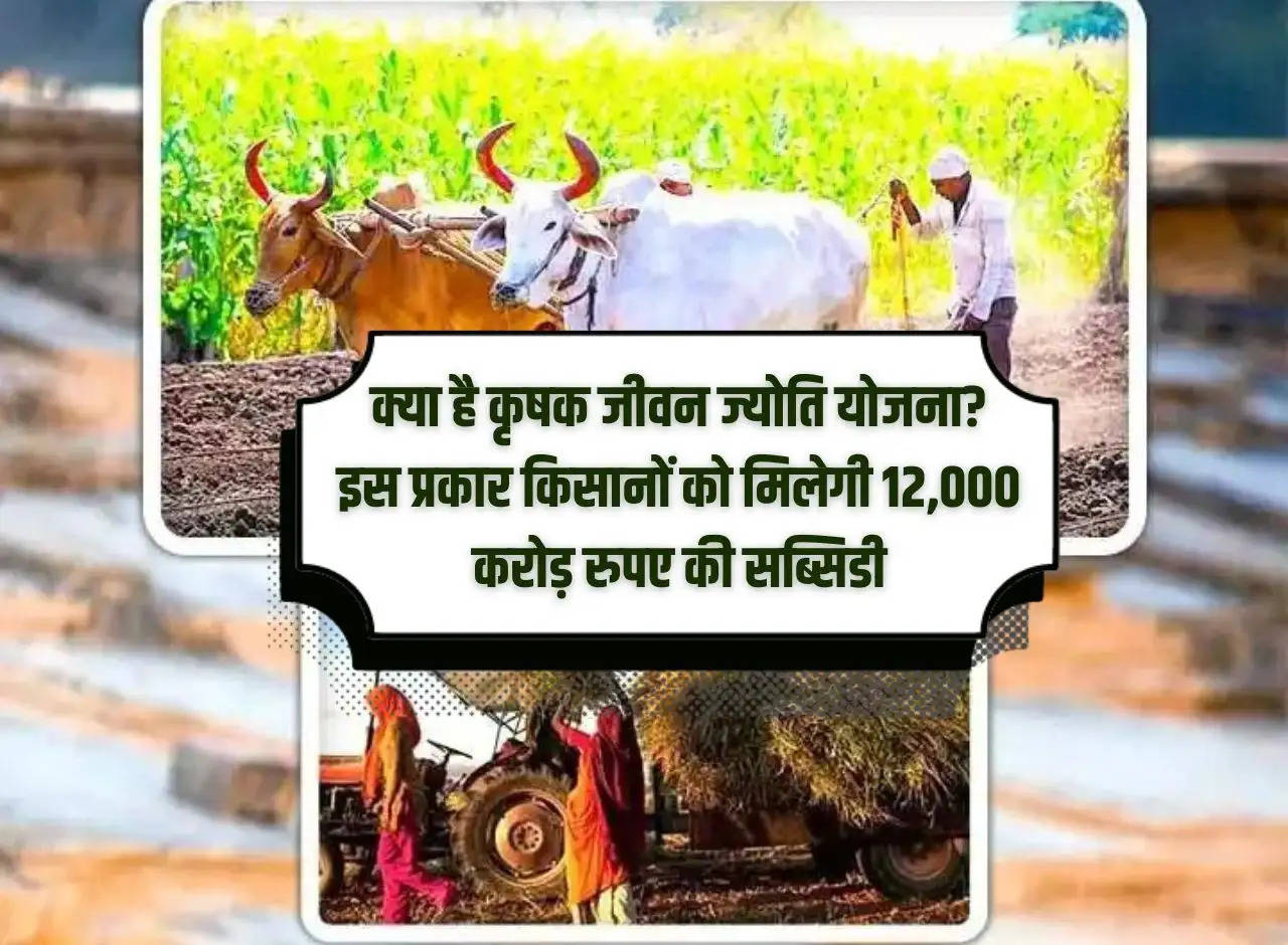 What is Krishak Jeevan Jyoti Yojana? In this way farmers will get subsidy of Rs 12,000 crore