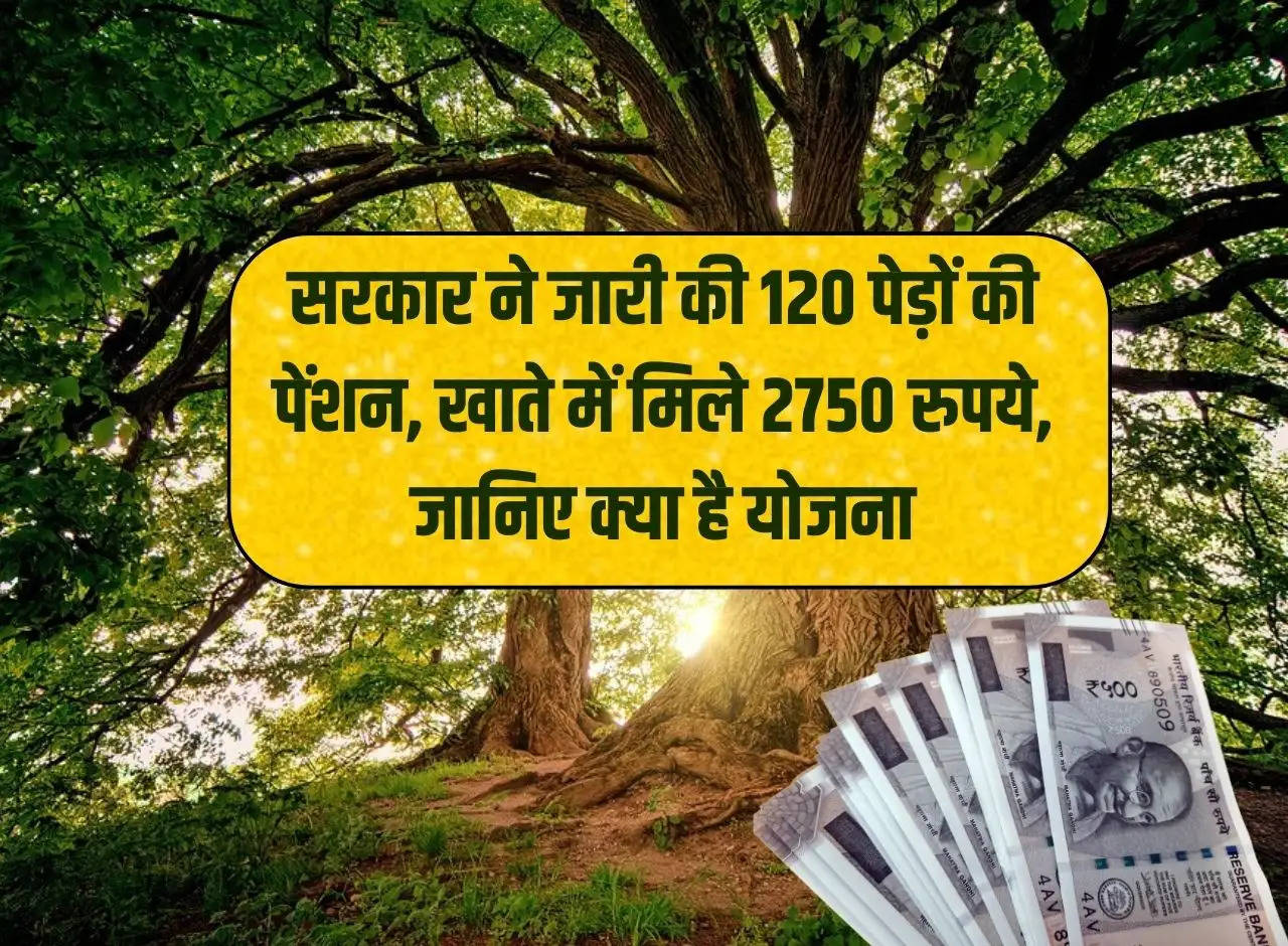 Government released pension of 120 trees, got Rs 2750 in the account, know what is the scheme