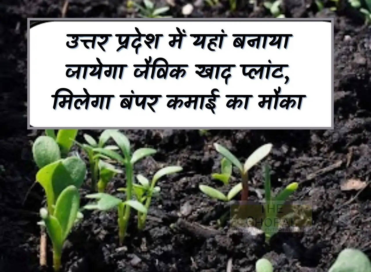 Organic fertilizer plant will be built here in Uttar Pradesh, you will get a chance to earn bumper